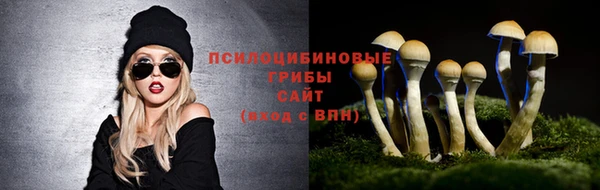 спайс Алексин