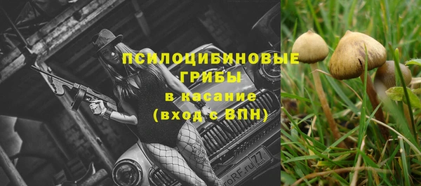 каннабис Алексеевка