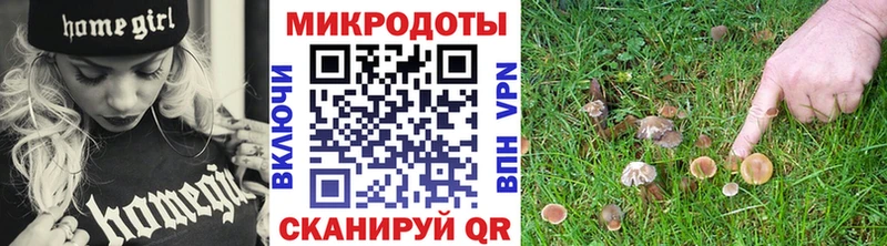 Галлюциногенные грибы ЛСД Богданович