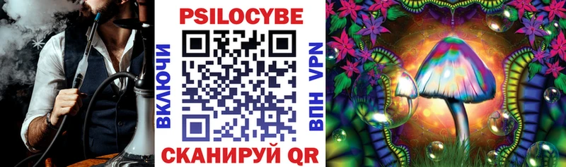 hydra как зайти  Богданович  Псилоцибиновые грибы прущие грибы  купить закладку 